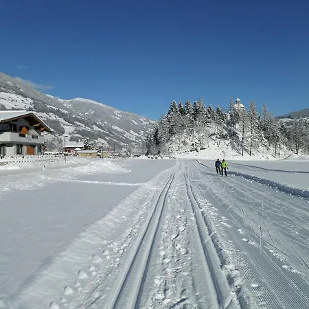 Apartman In Near Lifts *